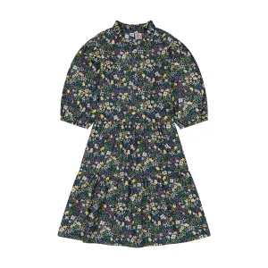 Heather Popover Dress Fall Meadow