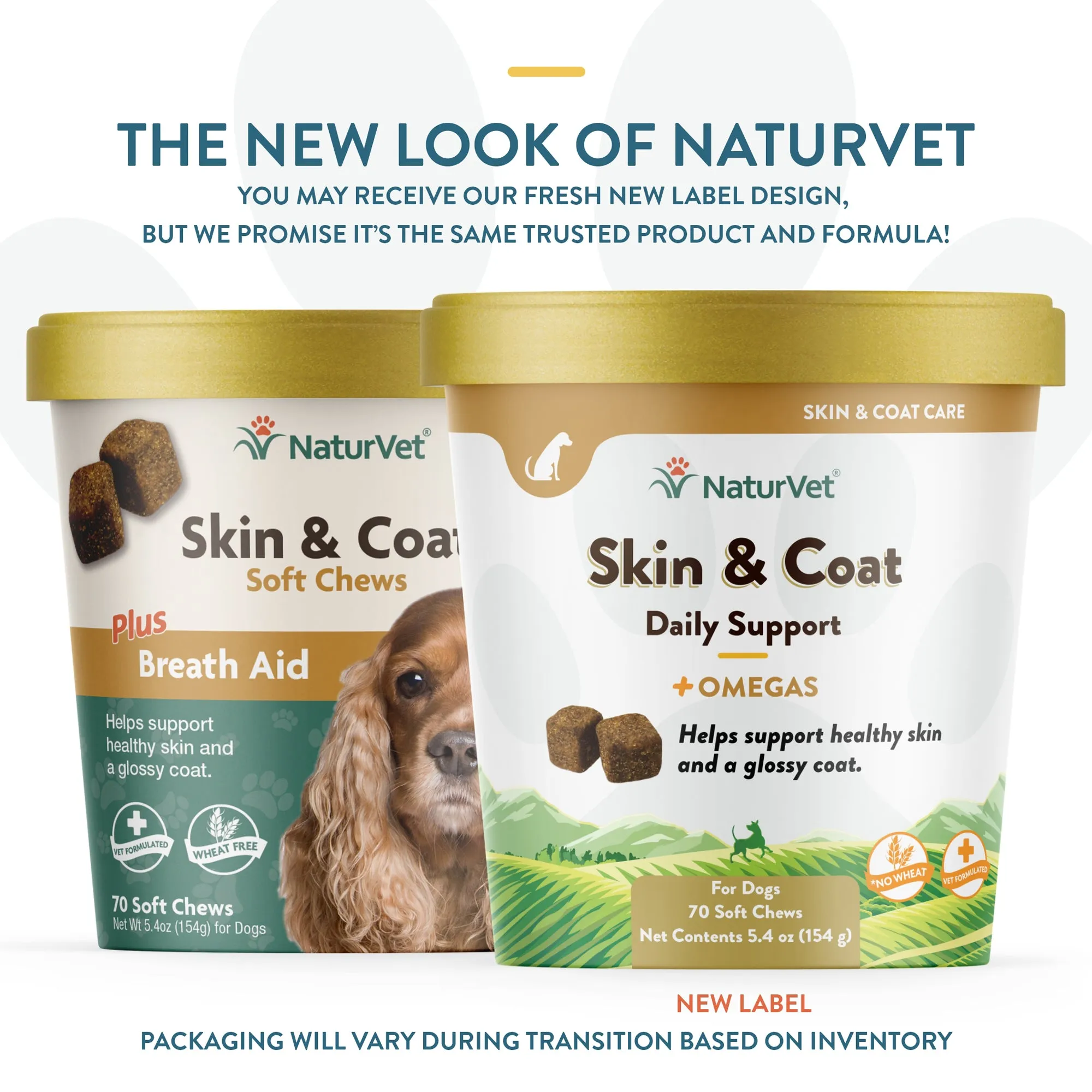 Skin & Coat Soft Chews